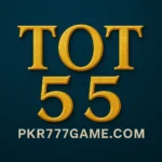 tot55-game